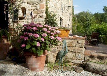 Foto 8 - Rustic snc, Force - photo 8