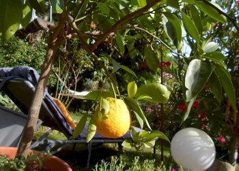 Foto 10 - Rustic snc, Force - photo 10