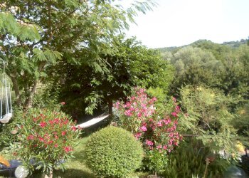 Foto 12 - Rustic snc, Force - photo 12