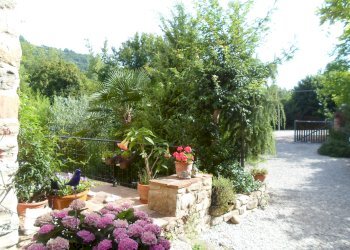 Foto 35 - Rustic snc, Force - photo 35