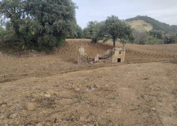 Foto 3 - Rustic C.da Cese, Force - photo 3