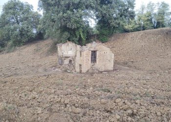 Foto 5 - Rustic C.da Cese, Force - photo 5