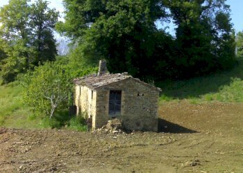 Foto 8 - Rustic C.da Cese, Force - photo 8