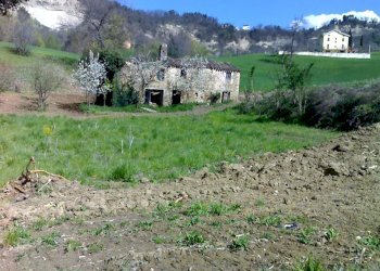 Foto 11 - Rustic C.da Cese, Force - photo 11