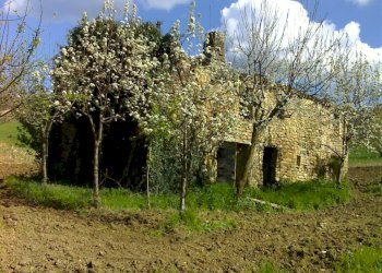 Foto 12 - Rustic C.da Cese, Force - photo 12