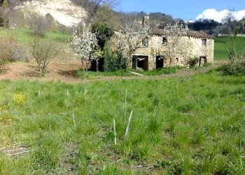 Foto 13 - Rustic C.da Cese, Force - photo 13