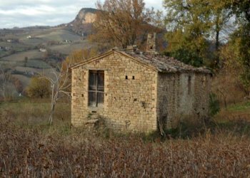 Foto 17 - Rustic C.da Cese, Force - photo 17