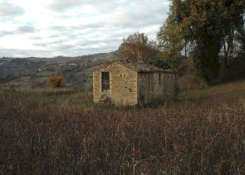 Foto 18 - Rustic C.da Cese, Force - photo 18