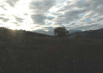 Foto 21 - Rustic C.da Cese, Force - photo 21