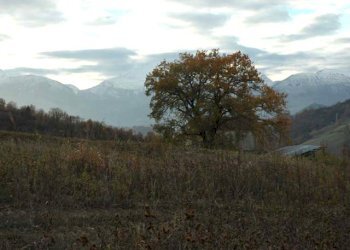 Foto 23 - Rustic C.da Cese, Force - photo 23