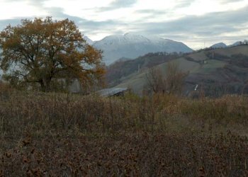 Foto 24 - Rustic C.da Cese, Force - photo 24