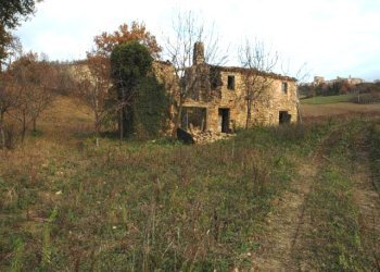 Foto 32 - Rustic C.da Cese, Force - photo 32