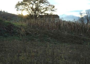 Foto 35 - Rustic C.da Cese, Force - photo 35