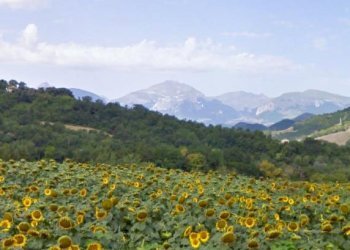 Foto 40 - Rustic C.da Cese, Force - photo 40