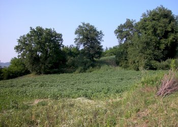 Foto 41 - Rustic C.da Cese, Force - photo 41