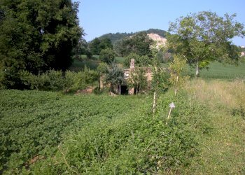 Foto 42 - Rustic C.da Cese, Force - photo 42