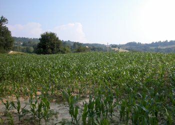 Foto 47 - Rustic C.da Cese, Force - photo 47