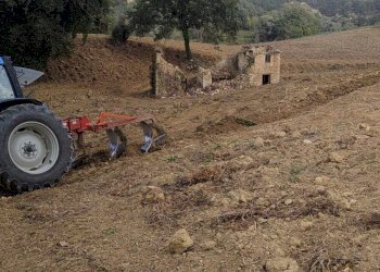 Foto 49 - Rustic C.da Cese, Force - photo 49