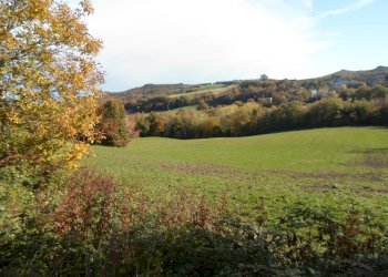 Foto 4 - Rustico Loc. Rocca Colonnalta, San Ginesio - foto 4