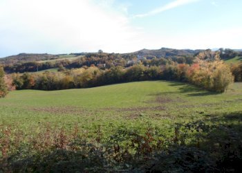 Foto 5 - Rustico Loc. Rocca Colonnalta, San Ginesio - foto 5