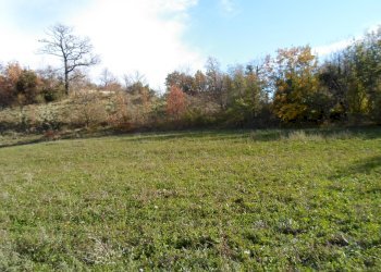 Foto 6 - Rustico Loc. Rocca Colonnalta, San Ginesio - foto 6