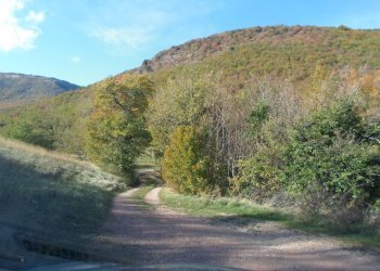 Foto 9 - Rustico Loc. Rocca Colonnalta, San Ginesio - foto 9