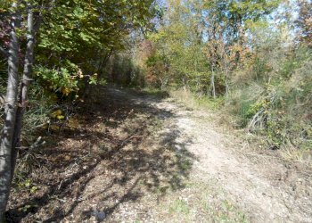 Foto 10 - Rustico Loc. Rocca Colonnalta, San Ginesio - foto 10