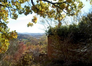 Foto 11 - Rustico Loc. Rocca Colonnalta, San Ginesio - foto 11