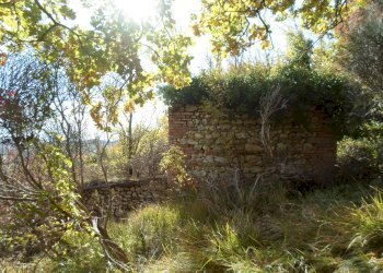 Foto 12 - Rustico Loc. Rocca Colonnalta, San Ginesio - foto 12