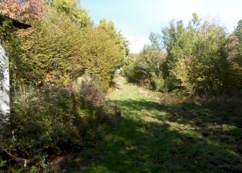 Foto 13 - Rustico Loc. Rocca Colonnalta, San Ginesio - foto 13