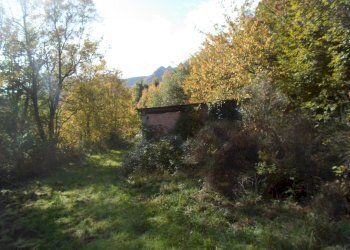 Foto 15 - Rustico Loc. Rocca Colonnalta, San Ginesio - foto 15