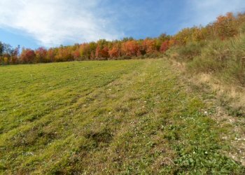 Foto 38 - Rustico Loc. Rocca Colonnalta, San Ginesio - foto 38