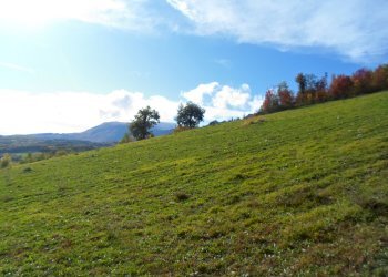 Foto 50 - Rustico Loc. Rocca Colonnalta, San Ginesio - foto 50