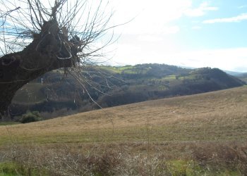 Foto 3 - Rustico C.da Colleluce
 
sn, San Severino Marche - foto 3