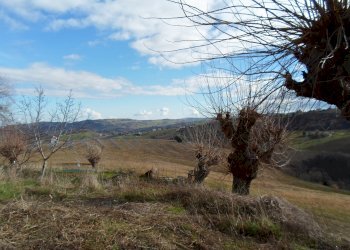 Foto 4 - Rustico C.da Colleluce
 
sn, San Severino Marche - foto 4