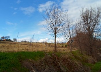 Foto 16 - Rustico C.da Colleluce
 
sn, San Severino Marche - foto 16