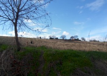 Foto 17 - Rustico C.da Colleluce
 
sn, San Severino Marche - foto 17