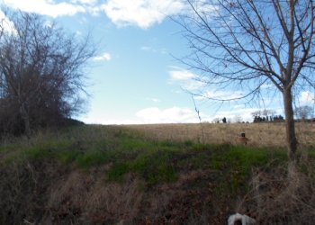 Foto 18 - Rustico C.da Colleluce
 
sn, San Severino Marche - foto 18