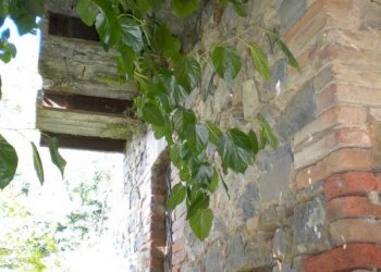 Foto 5 - Rustico Loc. Settecarpini
 
snc, Comunanza - foto 5