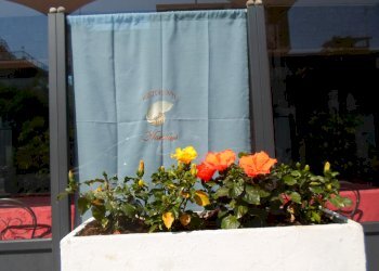 Foto 6 - Hotel Via Maffei, San Benedetto del Tronto - foto 6