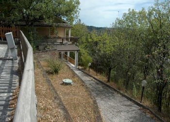 Foto 11 - Villa a Schiera Località Col Martese, Montefortino - foto 11