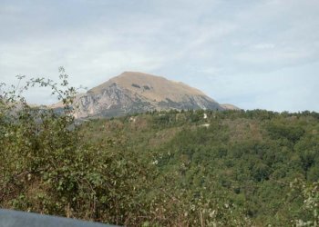 Foto 13 - Villa a Schiera Località Col Martese, Montefortino - foto 13