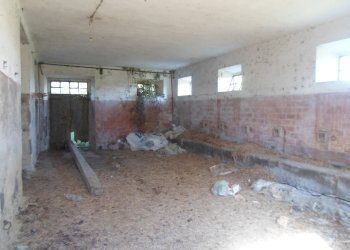 Foto 12 - Rustico Frz. San Biagio, Montefalcone Appennino - foto 12