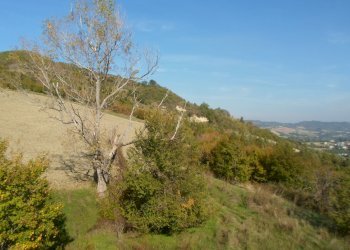 Foto 27 - Rustico Frz. San Biagio, Montefalcone Appennino - foto 27