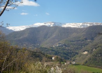 Foto 10 - Rustico Loc. Paggese, Acquasanta Terme - foto 10