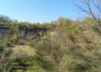 Foto 11 - Rustico Loc. Paggese, Acquasanta Terme - foto 11