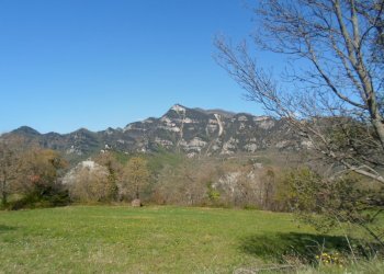 Foto 13 - Rustico Loc. Paggese, Acquasanta Terme - foto 13