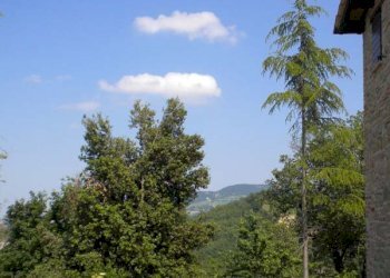 Foto 24 - Rustico Villa Marnacchia, Amandola - foto 22