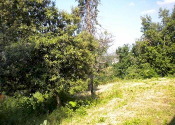 Foto 25 - Rustico Villa Marnacchia, Amandola - foto 23