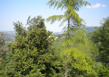 Foto 33 - Rustico Villa Marnacchia, Amandola - foto 31